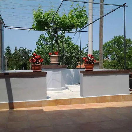 In - Istrien 8867 Ferienhaus